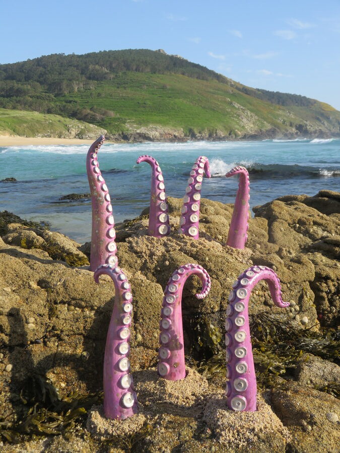 Octopus tentacle · Large