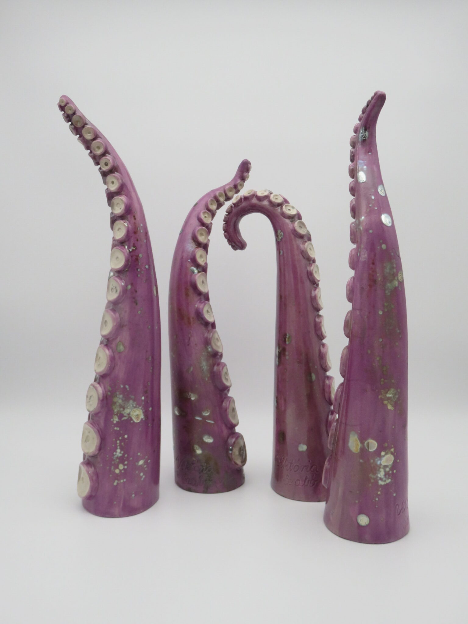 Tentáculo de pulpo · Grande - Image 3